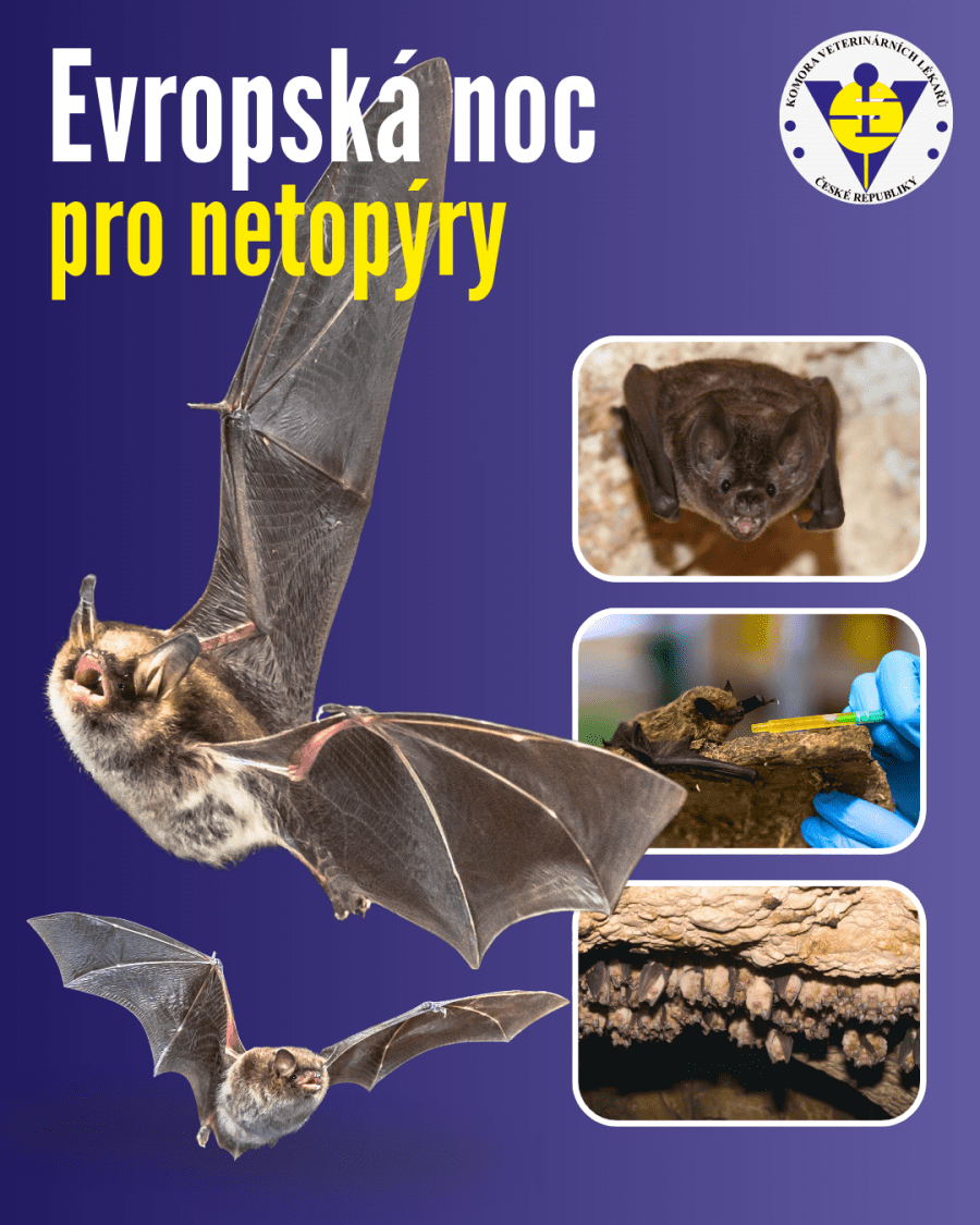 2026-08-29-netopyri-Evropský den národních parků (13).png